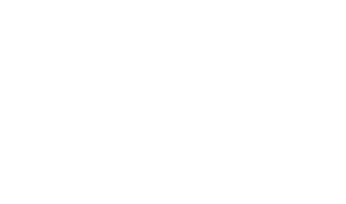 Stylo 10